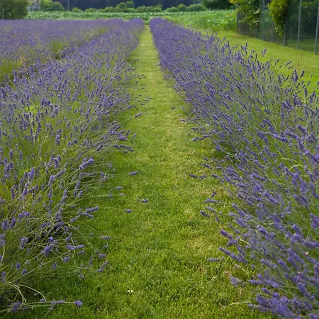 بيت ضيافة Terraluna 3*