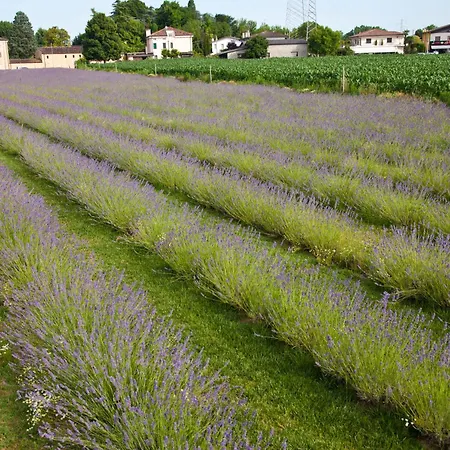 Terraluna Maison d'hôtes