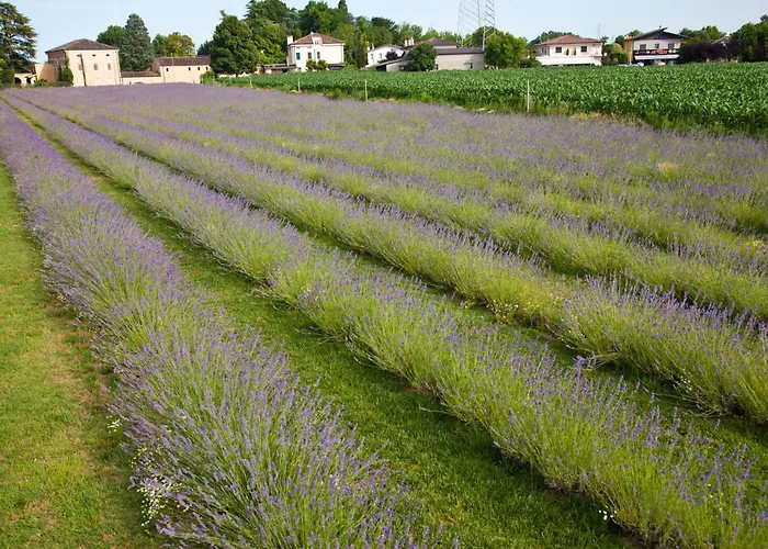 Terraluna Affittacamere